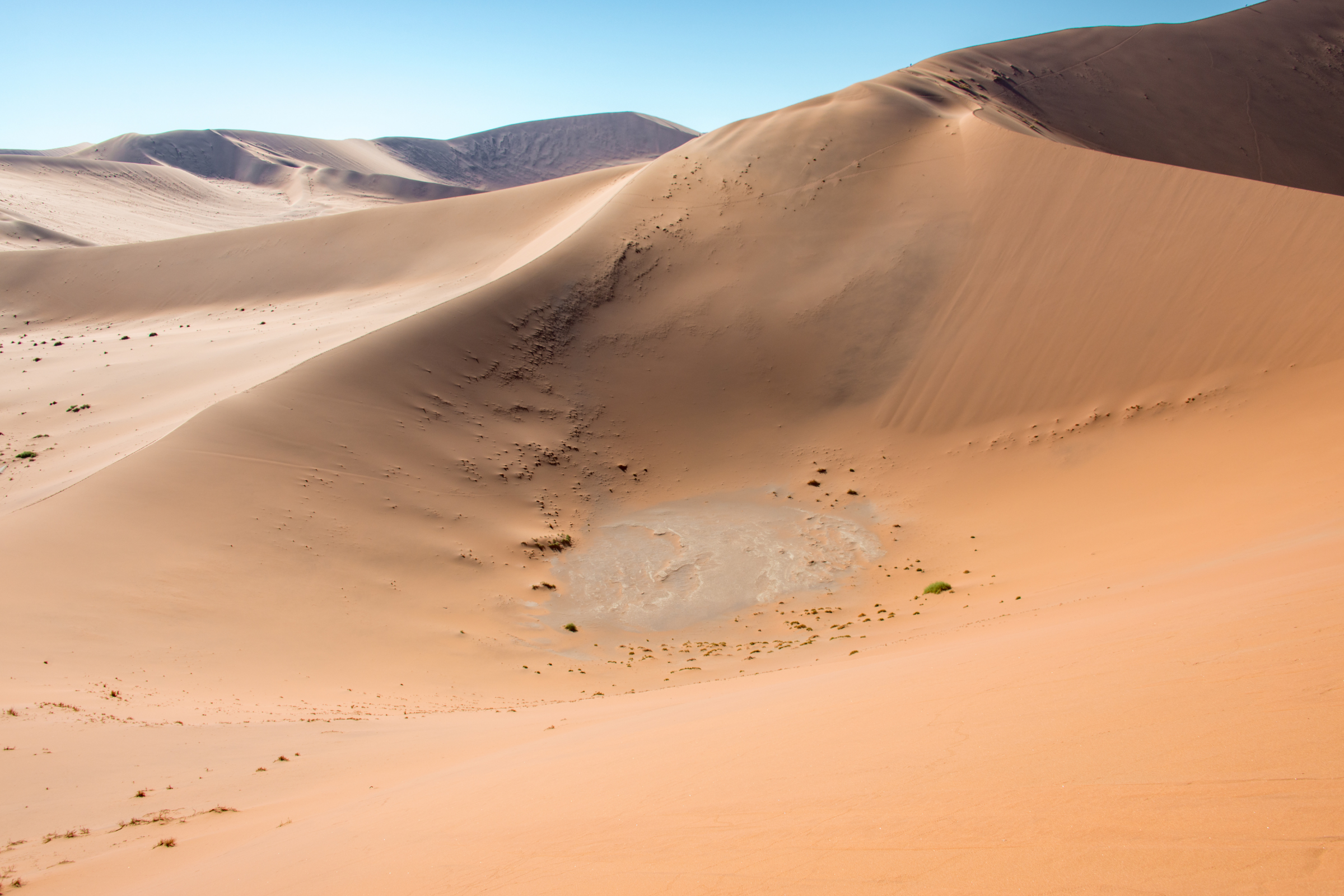 Namib-Naukluft_National_Park[1].webp